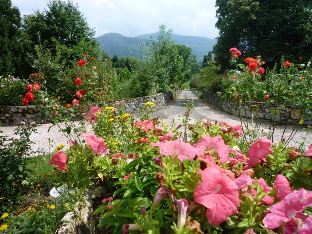 Domaine Vega Bed and Breakfast Saint-Arroman  Εξωτερικό φωτογραφία
